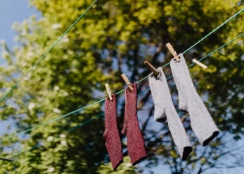 Cleanest Thing in the World